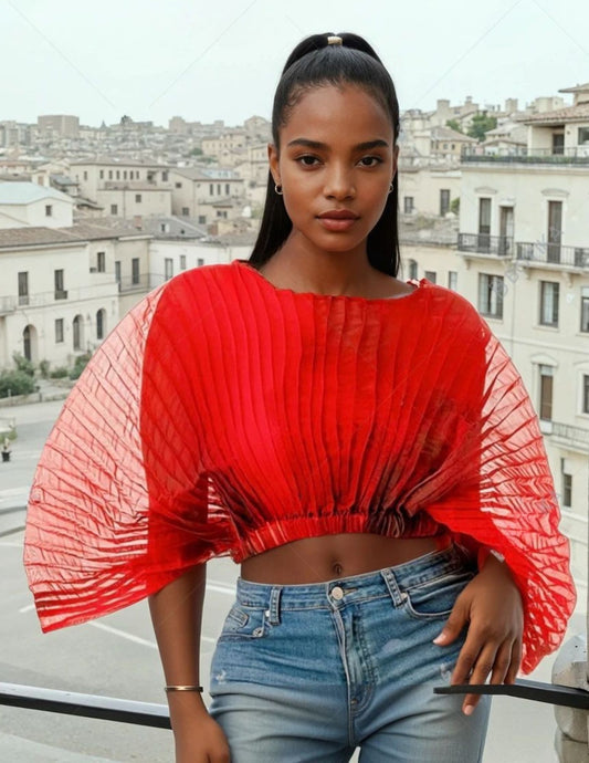 Shana Sheer Top