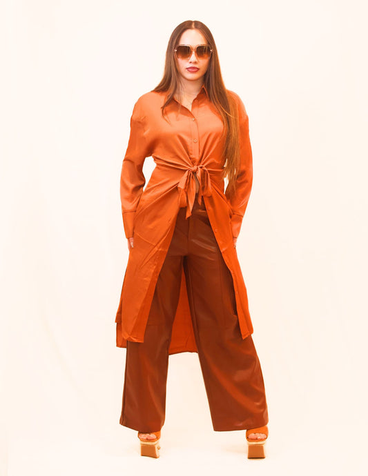 Autumn Ember Button Down Dress