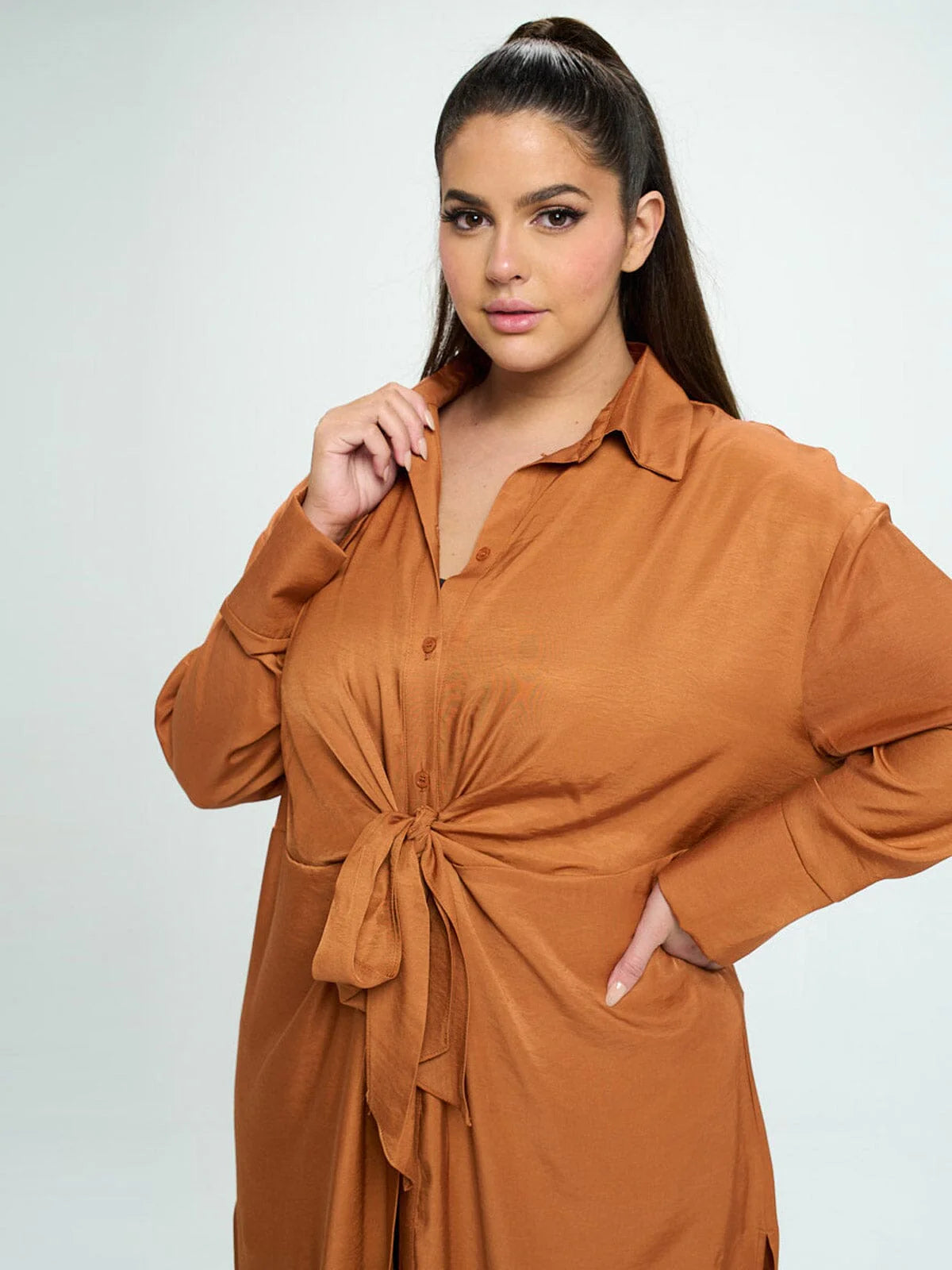 Autumn Ember Button Down Dress