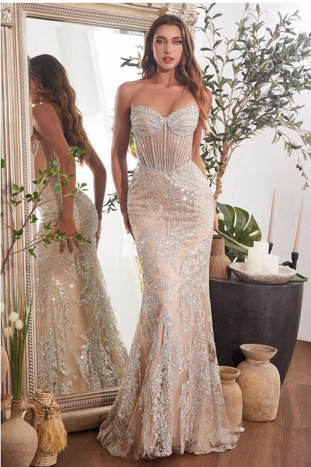 Embellished Silver & Nude Gown