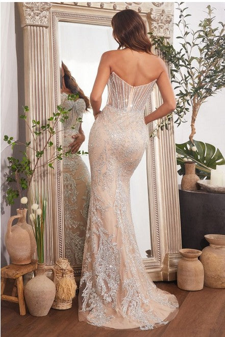 Embellished Silver & Nude Gown