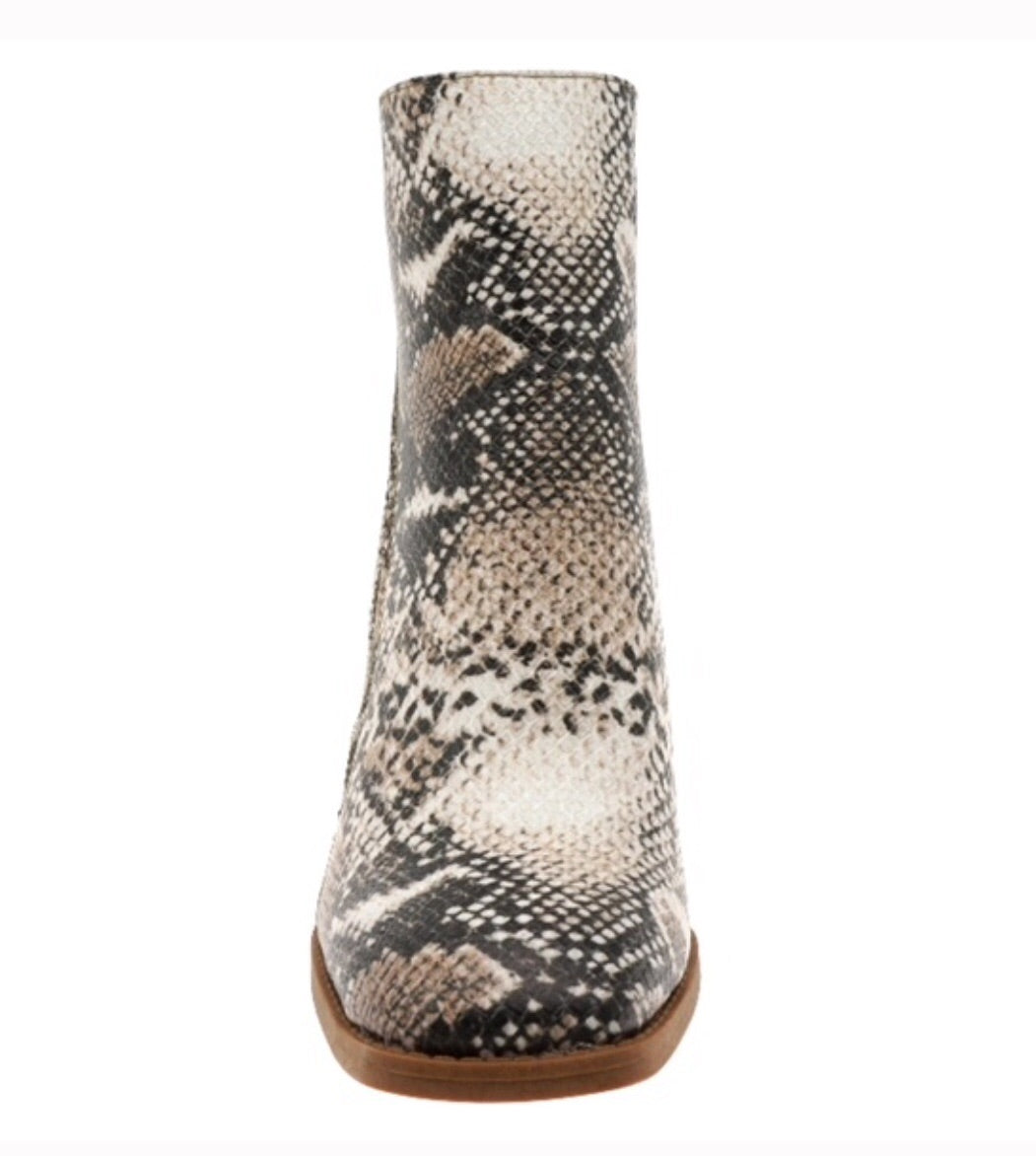 Slither (snake ankle boot)