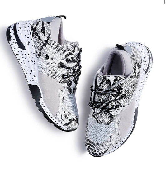 Jay Snake Skin Gymshoe