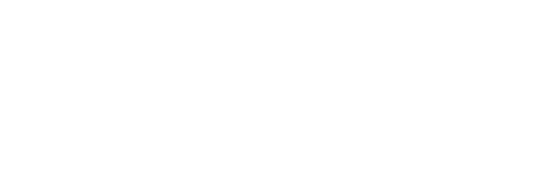 WGN • Spotlight Chicago